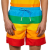 OEM 100 % polyesteria miesten v&auml;riset shortsit Custom Rainbow shortsit