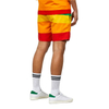 OEM 100 % polyesteria miesten v&auml;riset shortsit Custom Rainbow shortsit